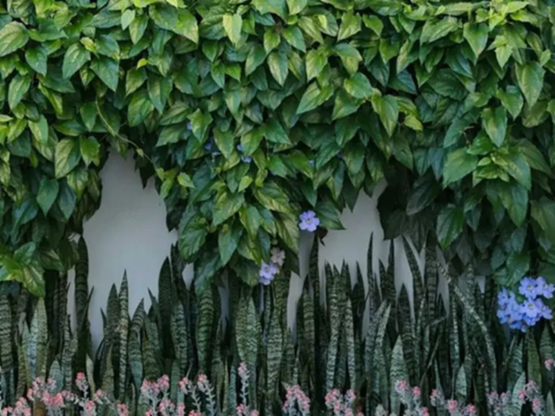 Ide Taman Belakang Rumah