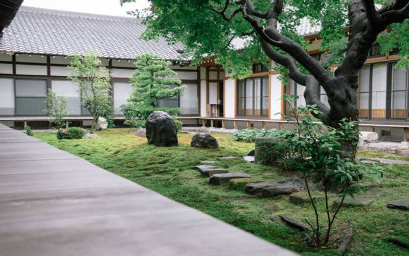 Ide Taman Depan Rumah ala Jepang yang Estetik dan Menawan