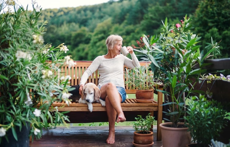 Inspirasi Desain Taman Pinggir Rumah Sempit, Namun Tetap Estetik