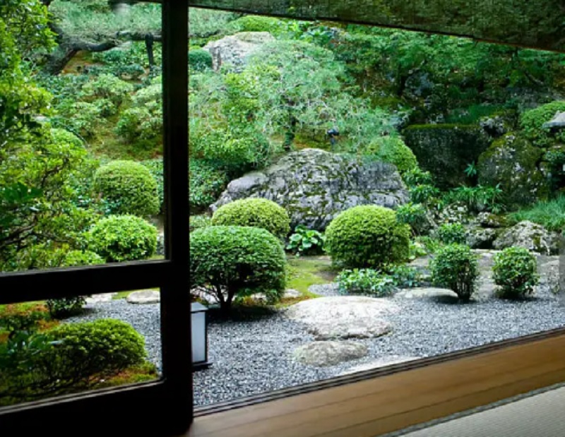 Inspirasi Desain Taman Pinggir Rumah Sempit, Namun Tetap Estetik