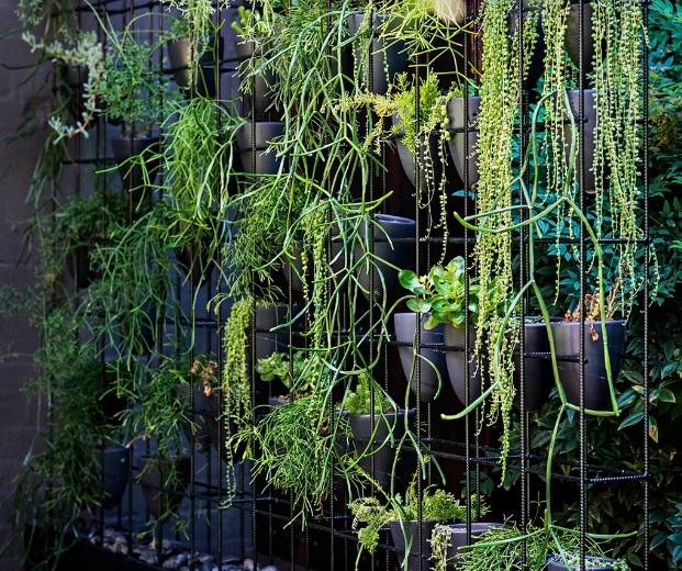 Inspirasi Desain Taman Pinggir Rumah Sempit, Namun Tetap Estetik