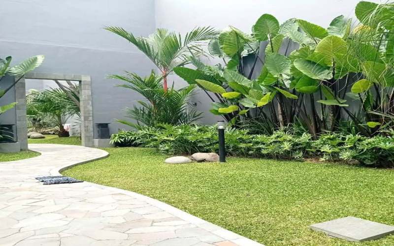 Inspirasi Desain Taman Rumah Bali Bernuansa Tropis