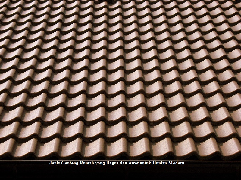 Jenis Genteng Rumah yang Bagus dan Awet untuk Hunian Modern