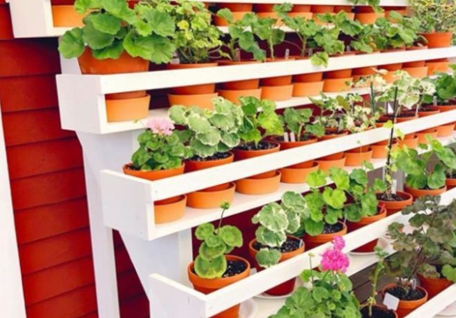 Desain Taman Toga Minimalis, Ciptakan Suasana Rumah yang Hijau dan Nyaman