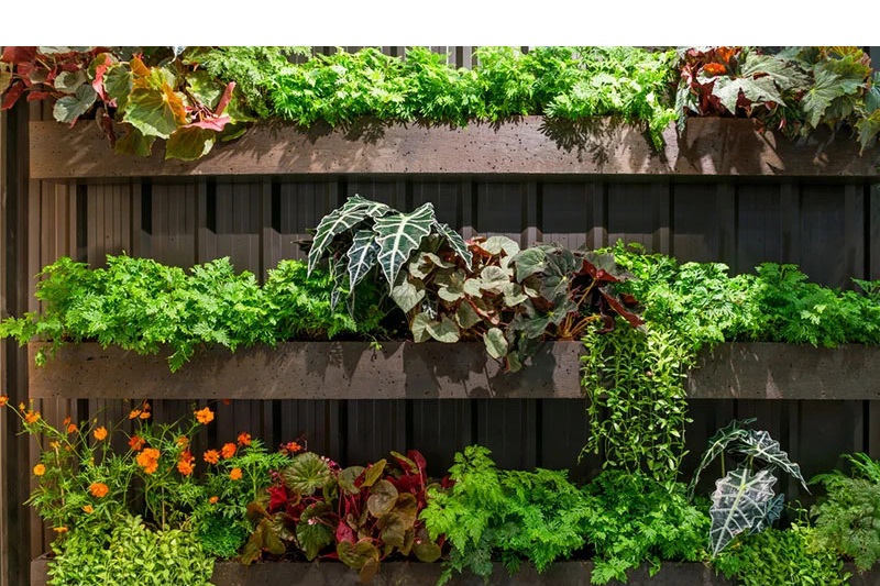 Taman Minimalis Tanpa Lahan, Jadikan Hunian Indah dan Sejuk