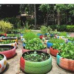Taman Minimalis Tanpa Lahan, Jadikan Hunian Indah dan Sejuk