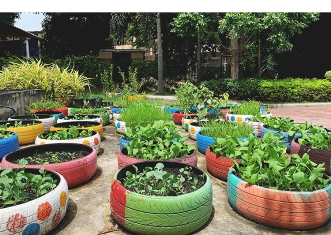 Taman Minimalis Tanpa Lahan, Jadikan Hunian Indah dan Sejuk