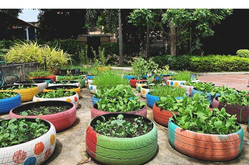 Taman Minimalis Tanpa Lahan, Jadikan Hunian Indah dan Sejuk