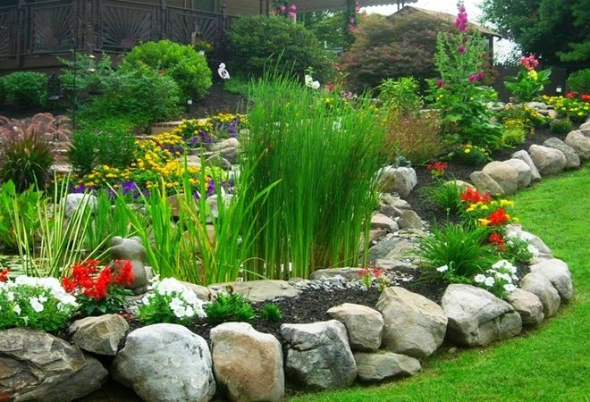 Ide Desain Taman Batu Koral untuk Halaman Rumah yang Indah dan Mudah Dirawat